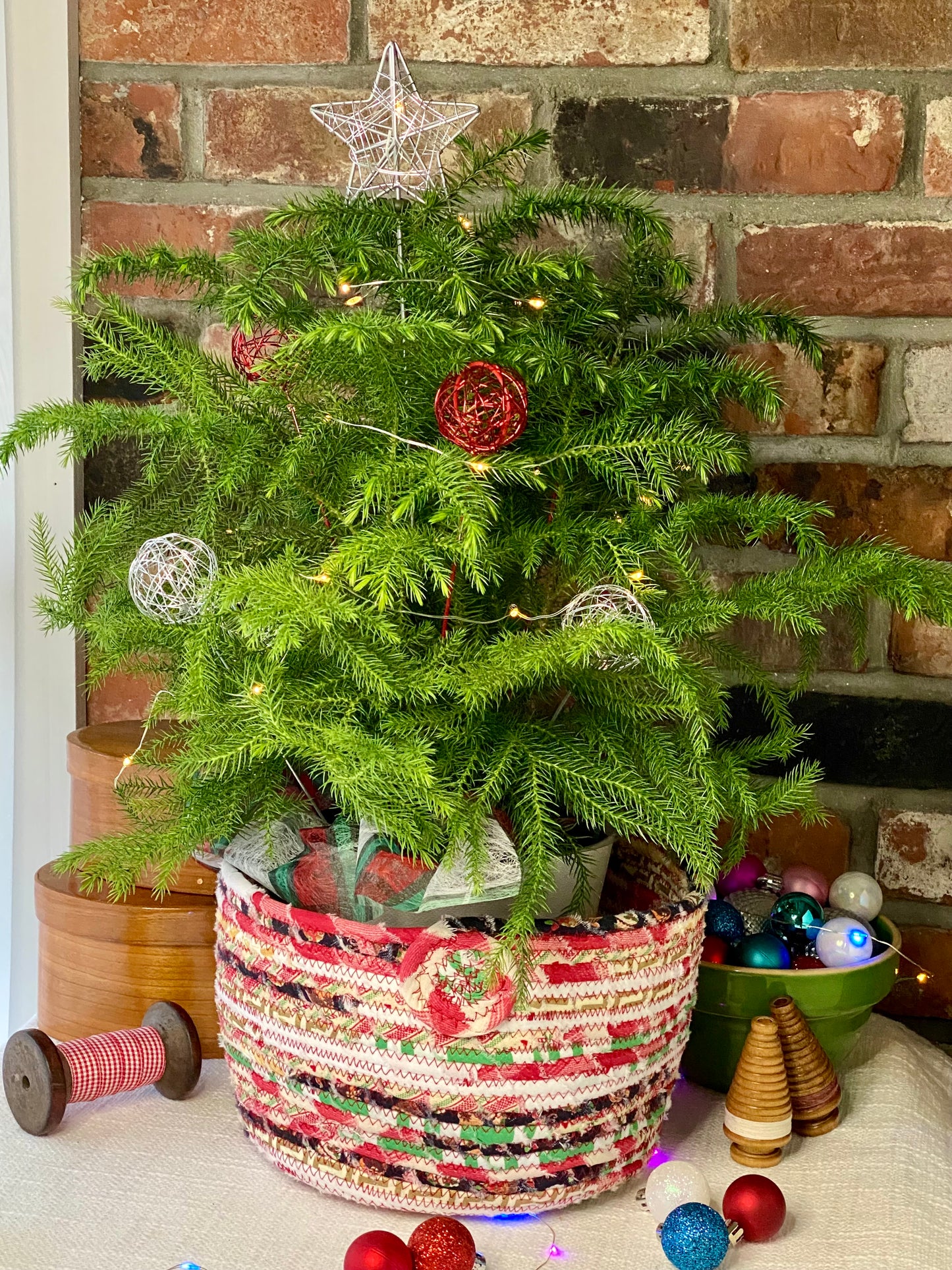 Tannenbaum Basket #2011 - Holiday 2024