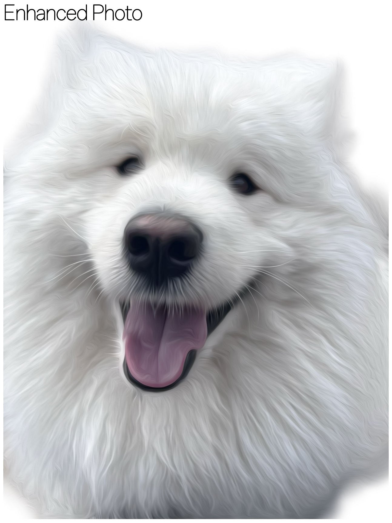 Custom Pet Artwork - NEW CUSTOMERS START HERE - Digital File Only