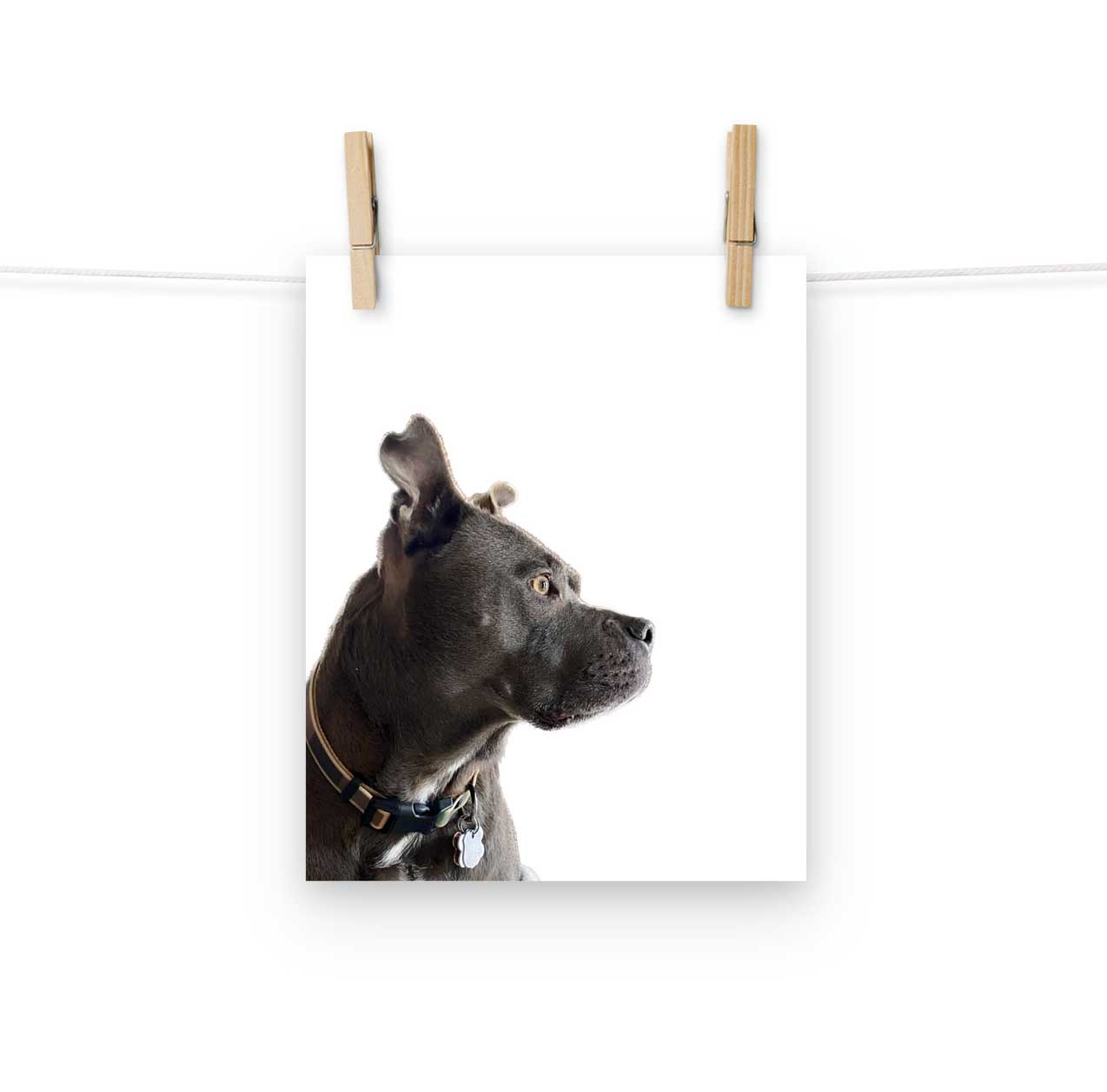 Custom Pet Art Print - FREE Shipping in U.S.