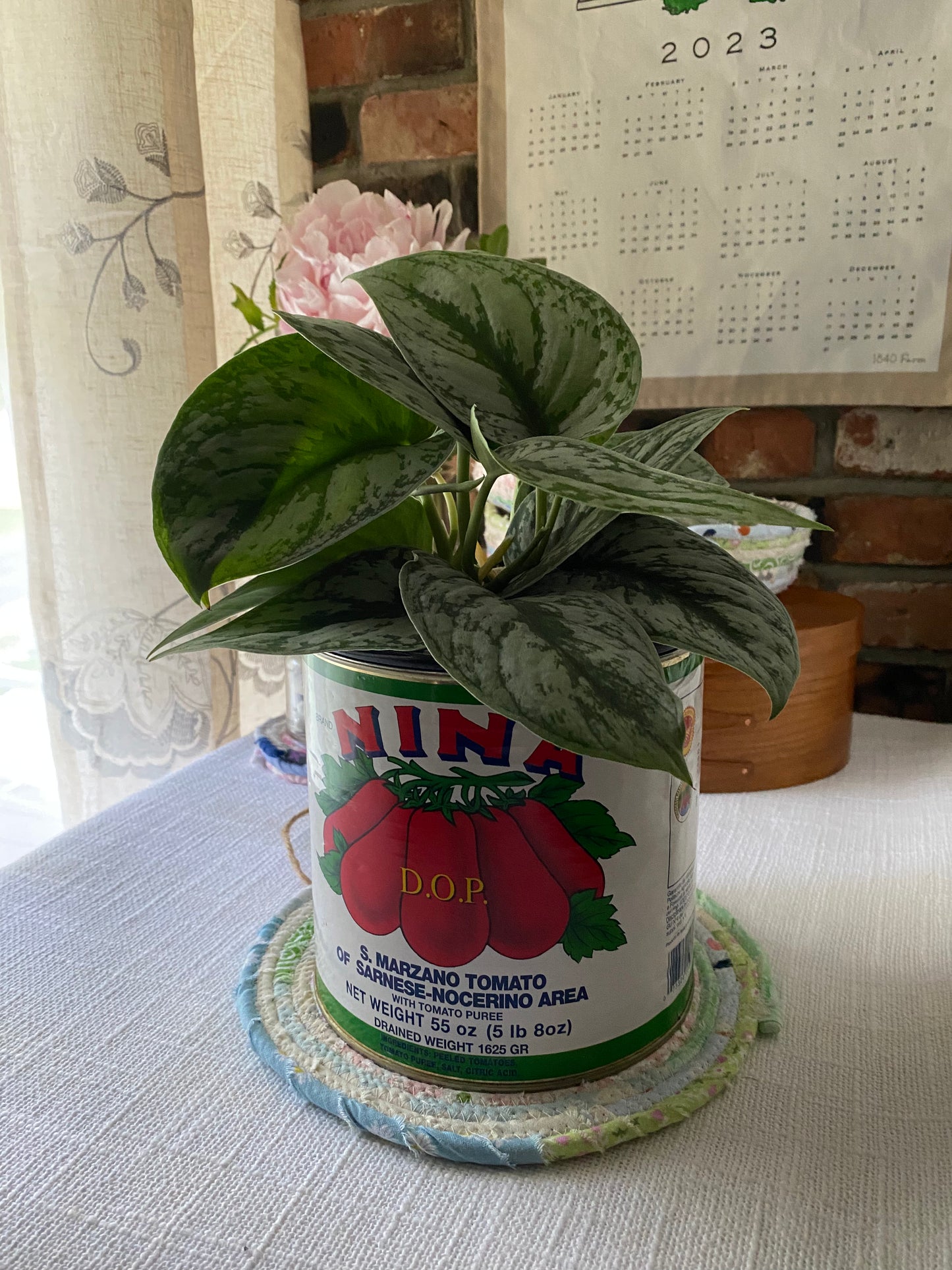 8” Large Flat Trivet