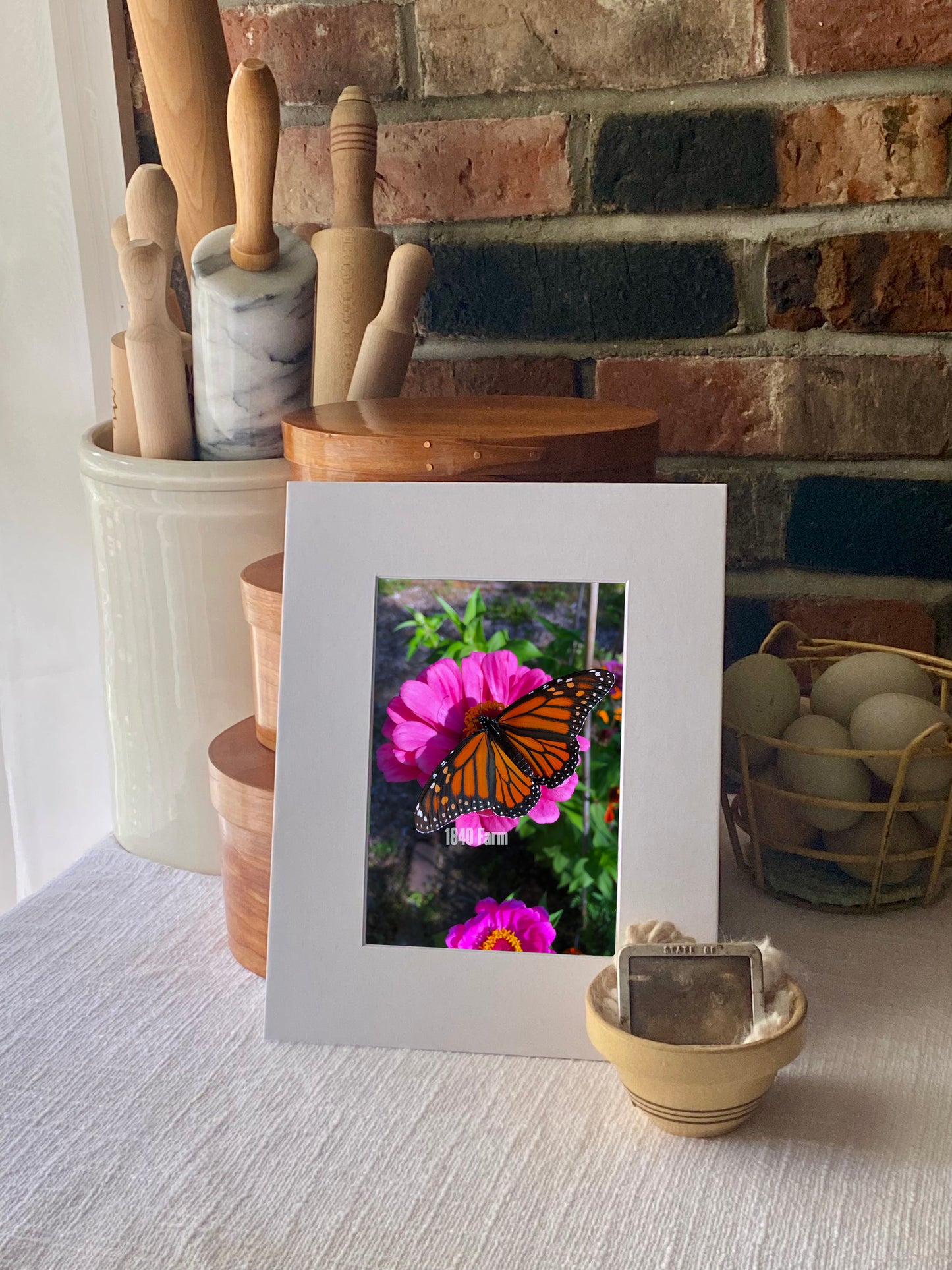 Butterfly on Zinnia Bloom Photo Print