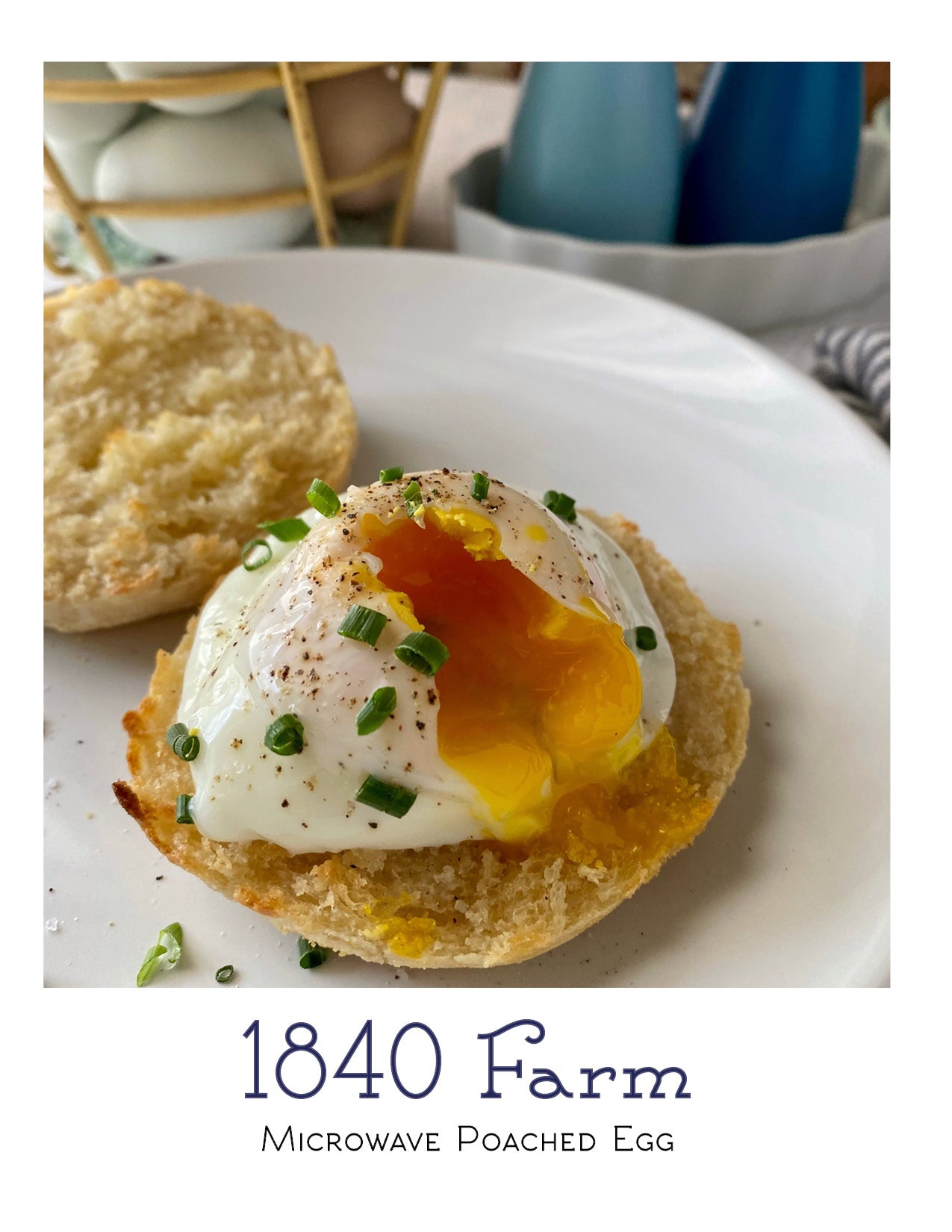 Holiday Special - Half Price Gift Subscription to 1840 Farm