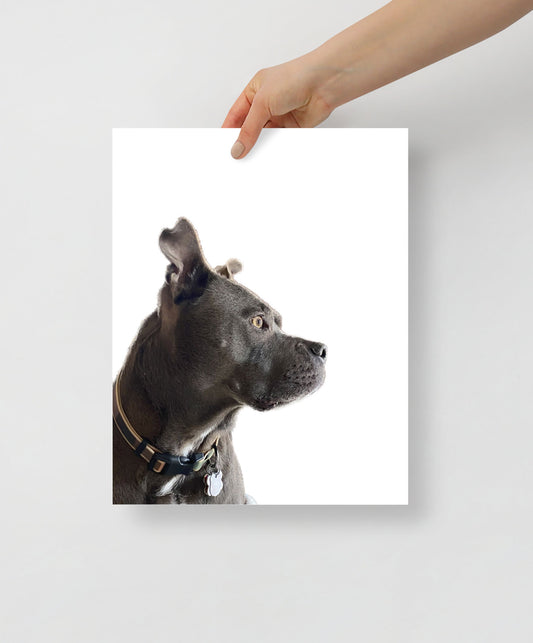 Custom Pet Art Print - FREE Shipping in U.S.