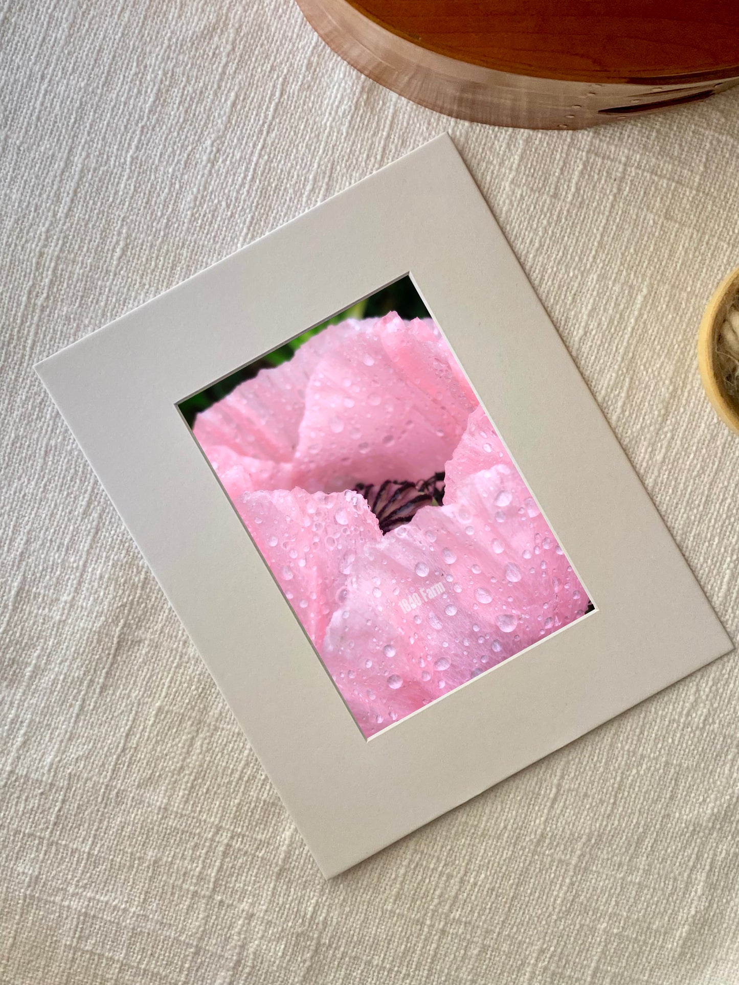 Poppy with Raindrops Photo Print