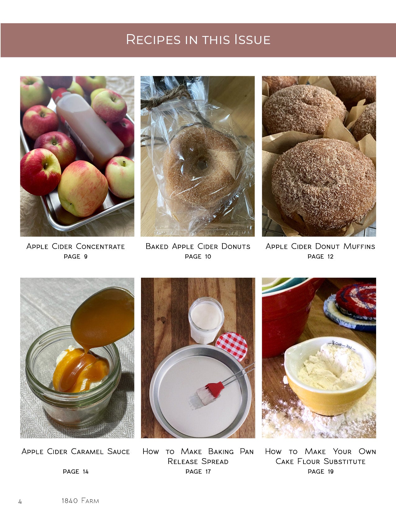 Digital Recipe Booklet - The Apple Cider Recipe Collection (6 recipes, 20 pages)