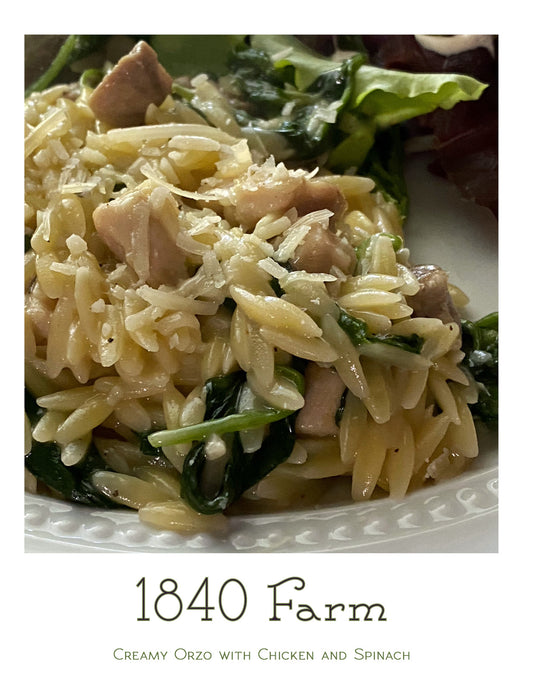 FREE Digital Recipe Booklet - Creamy Orzo with Chicken and Spinach (1 recipe, 8 pages)