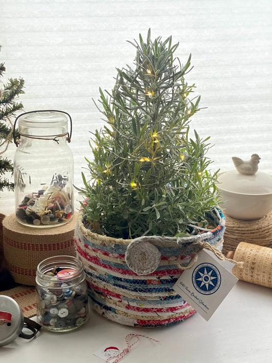 Tiny Tannenbaum Basket #1894