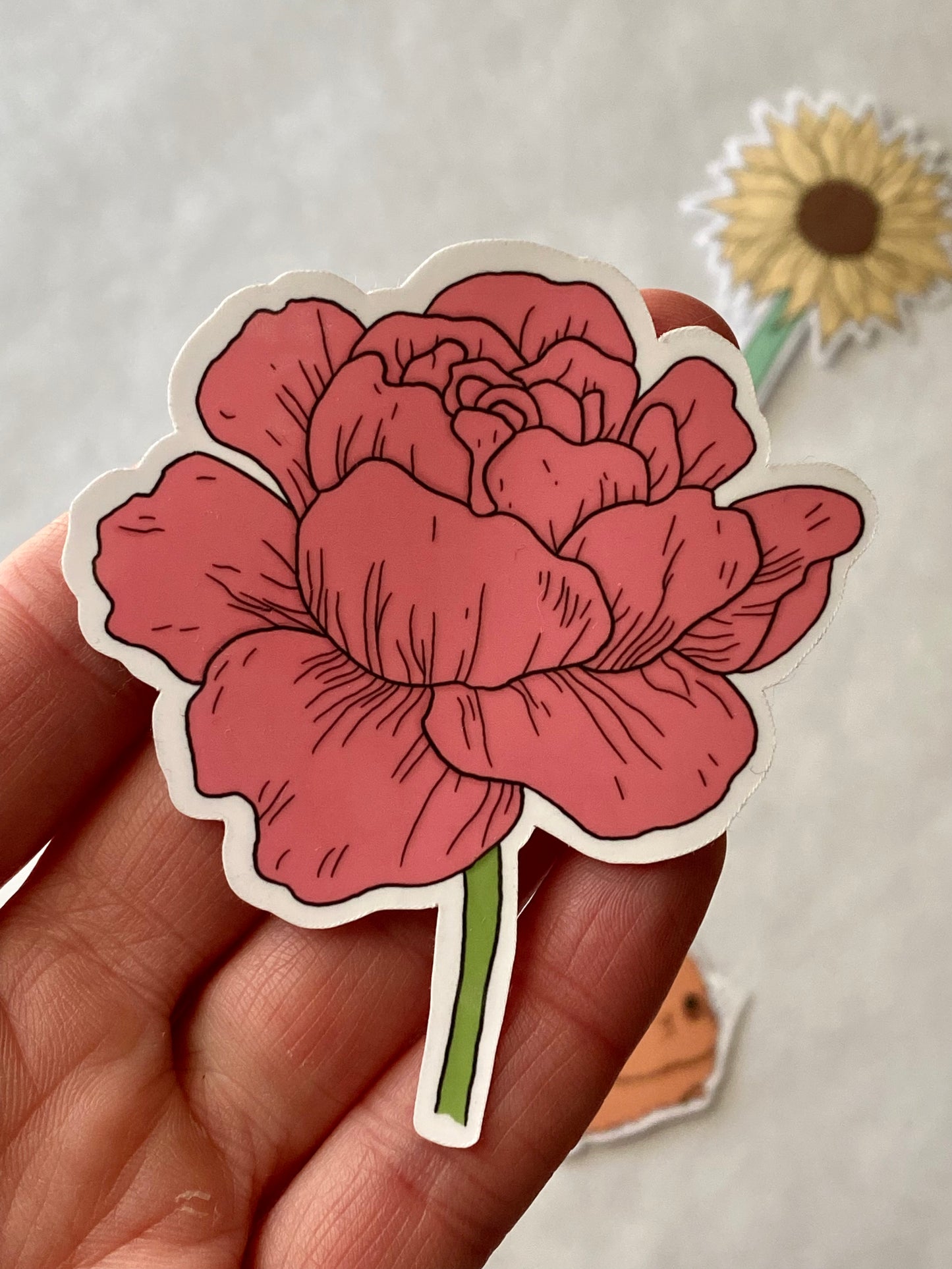 Pink Peony Sticker